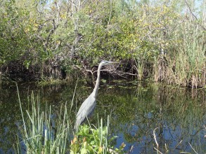 Everglades National Park, Key West, Miami Beach, Floride